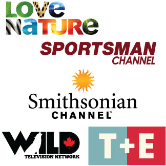 World Channels